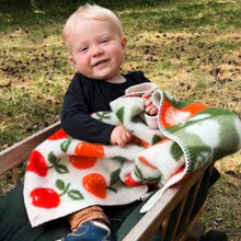 Load image into Gallery viewer, Fruits Baby Multi Lambswool Blanket 65x90cm
