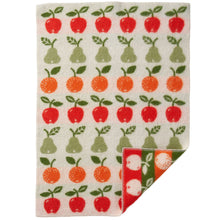 Load image into Gallery viewer, Fruits Baby Multi Lambswool Blanket 65x90cm
