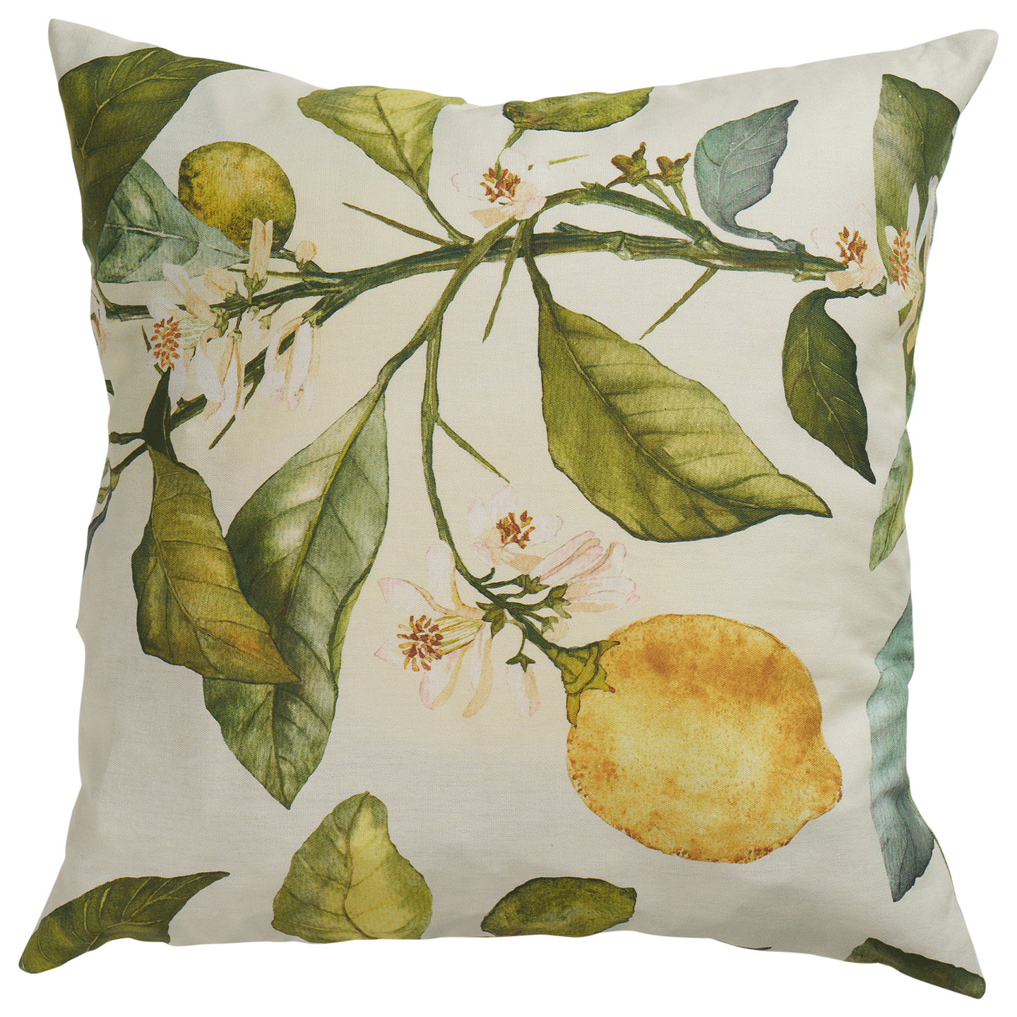Citrus Cotton Cushion Cover 45x45cm