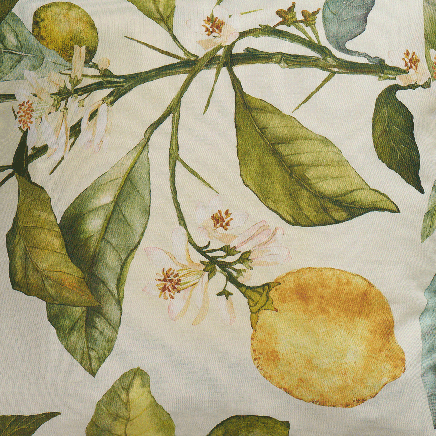 Citrus Printed Cotton Fabric 153cm Wide