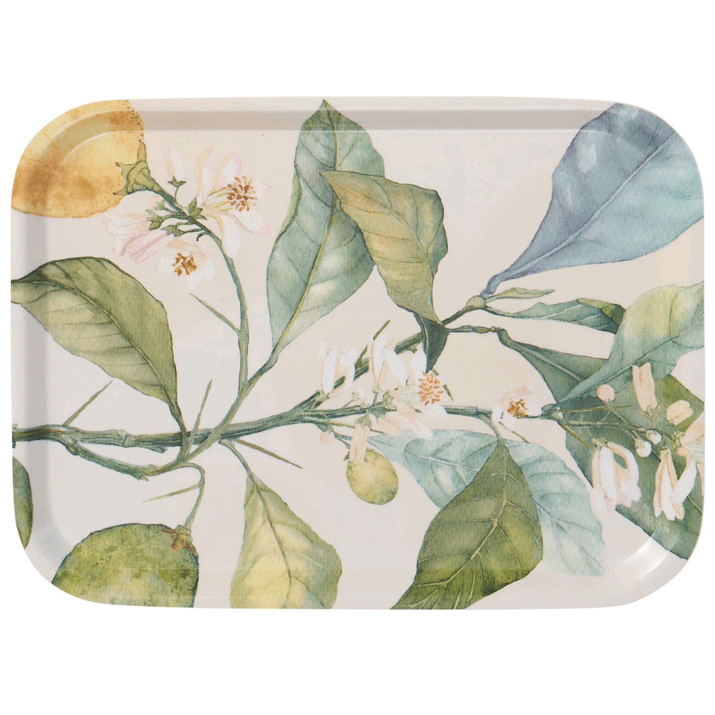 Citrus Small Tray 20x27cm
