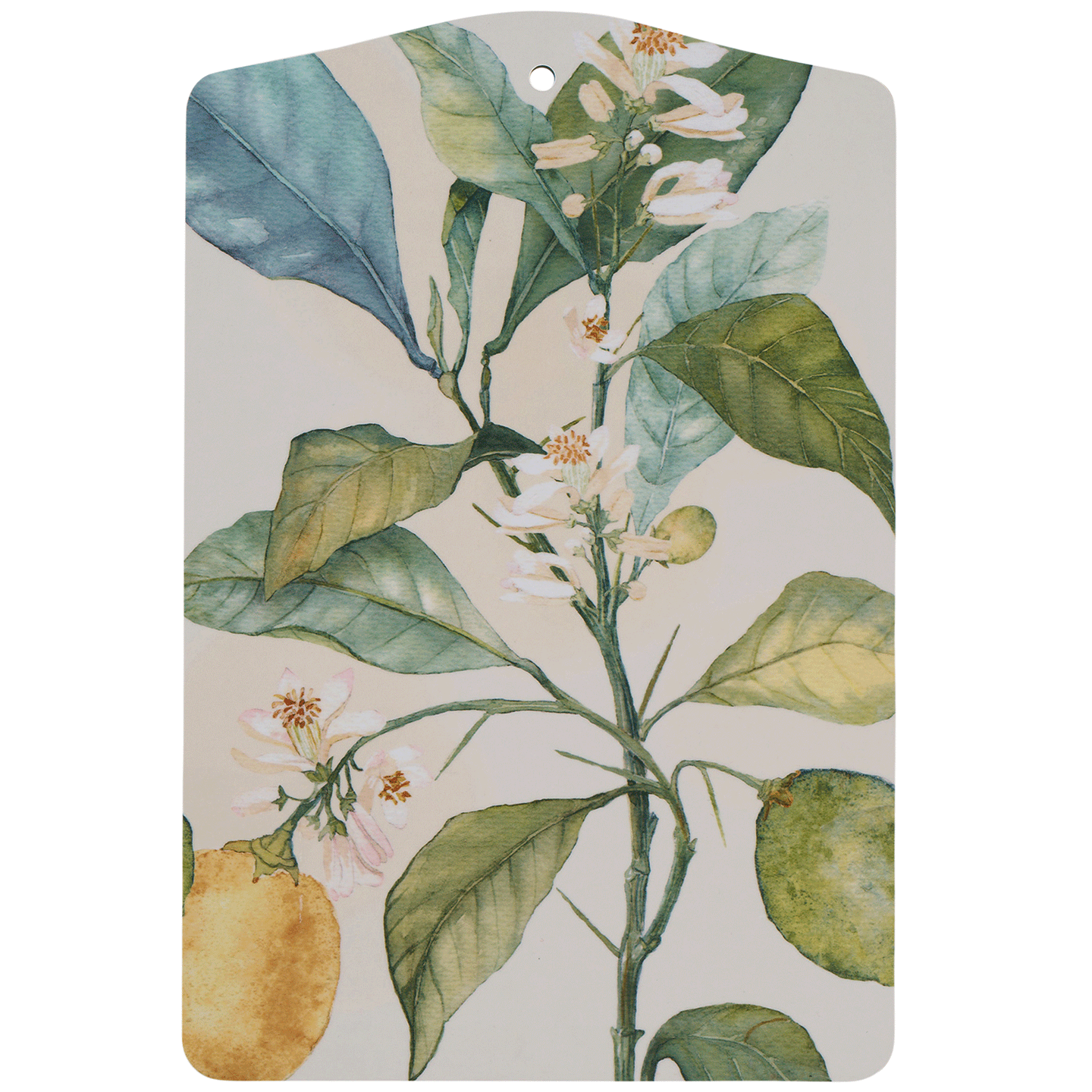 Citrus Cutting Board 19.5x29.5cm